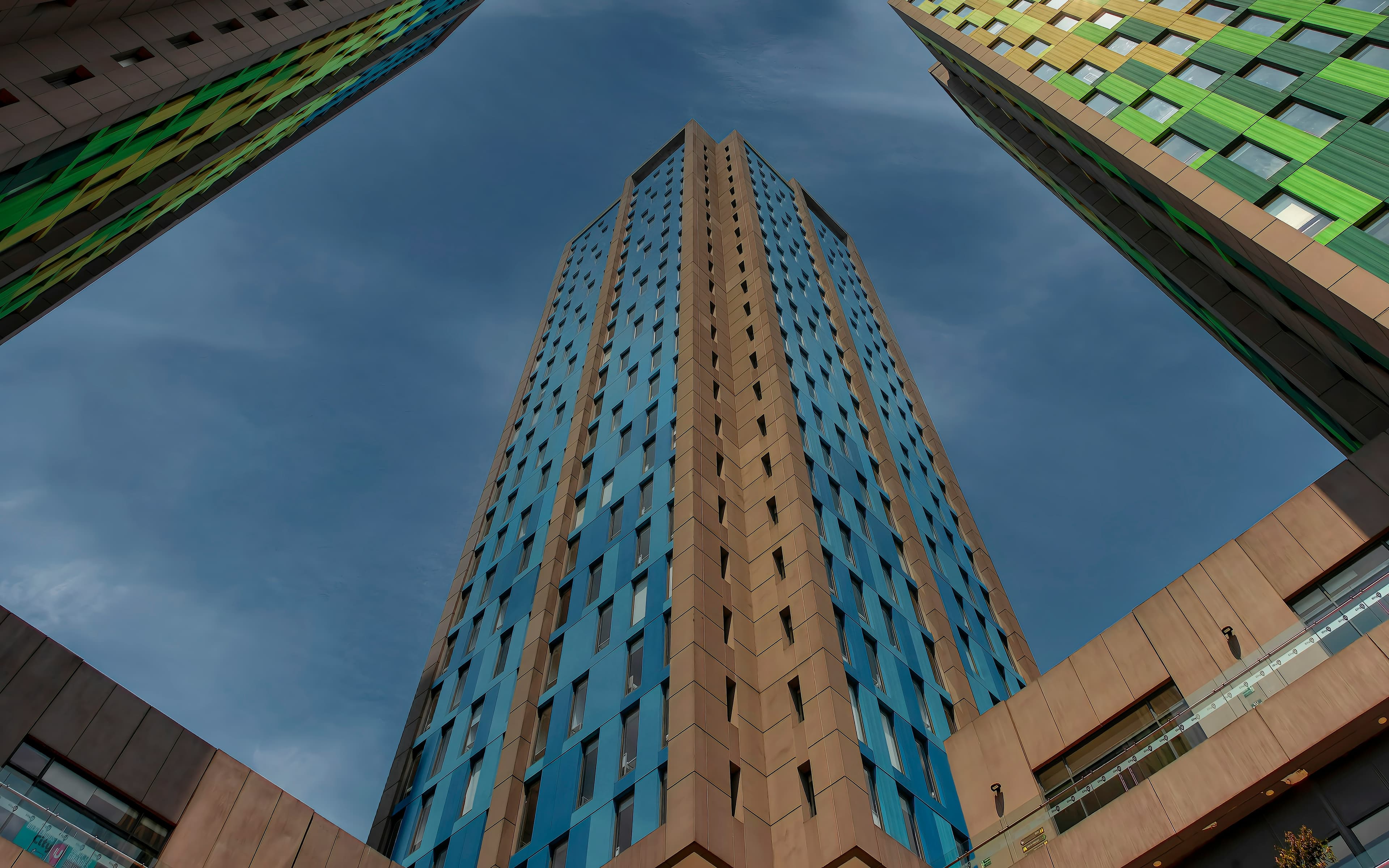 Graffiti & Contracultura